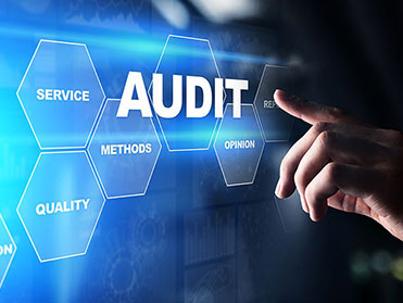 Audit Services